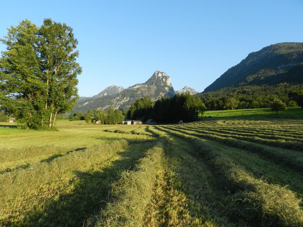 Wiesenhof Strobl
