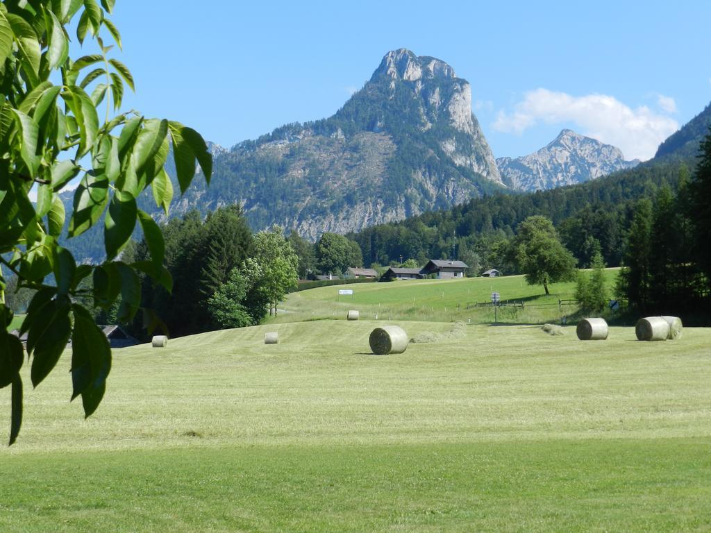 Wiesenhof Strobl